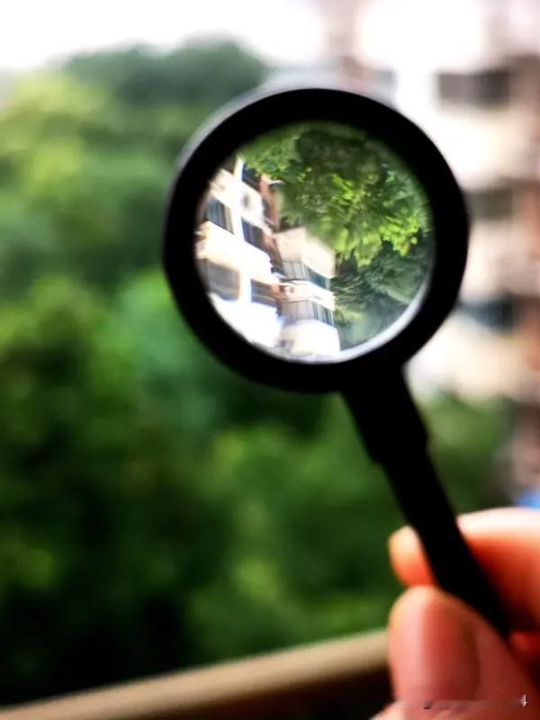 “该明白的事情，心里清楚就好；装糊涂的时候，反而是一种智慧。”

       