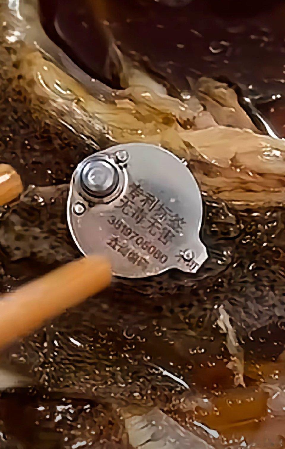 胖东来多宝鱼吃出"异物"？真相来了！
 
有网友发视频，在胖东来买的多宝鱼快吃完