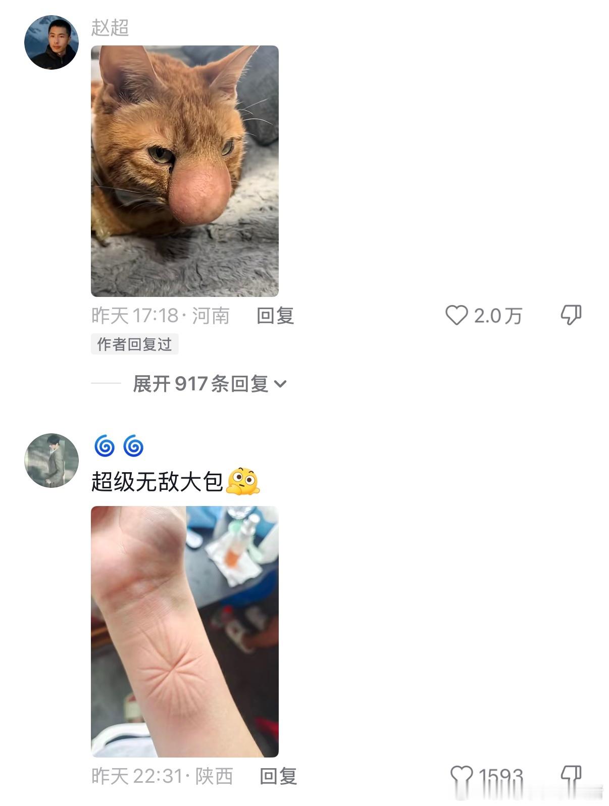 好夸张的蚊子包情感热点创作激励计划