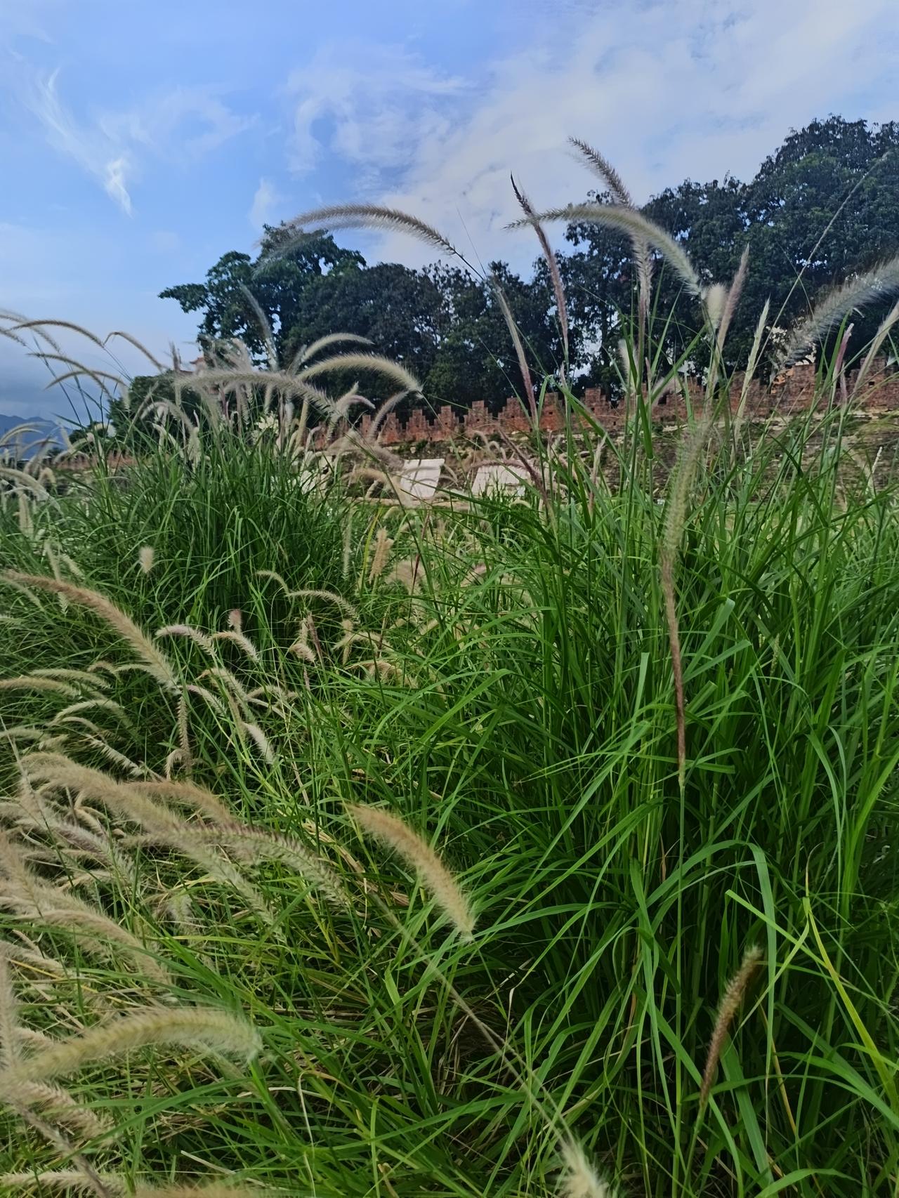 我在端州区，下了快一个星期的雨
发现了一个很严重的问题
但不知道怎么说才好

