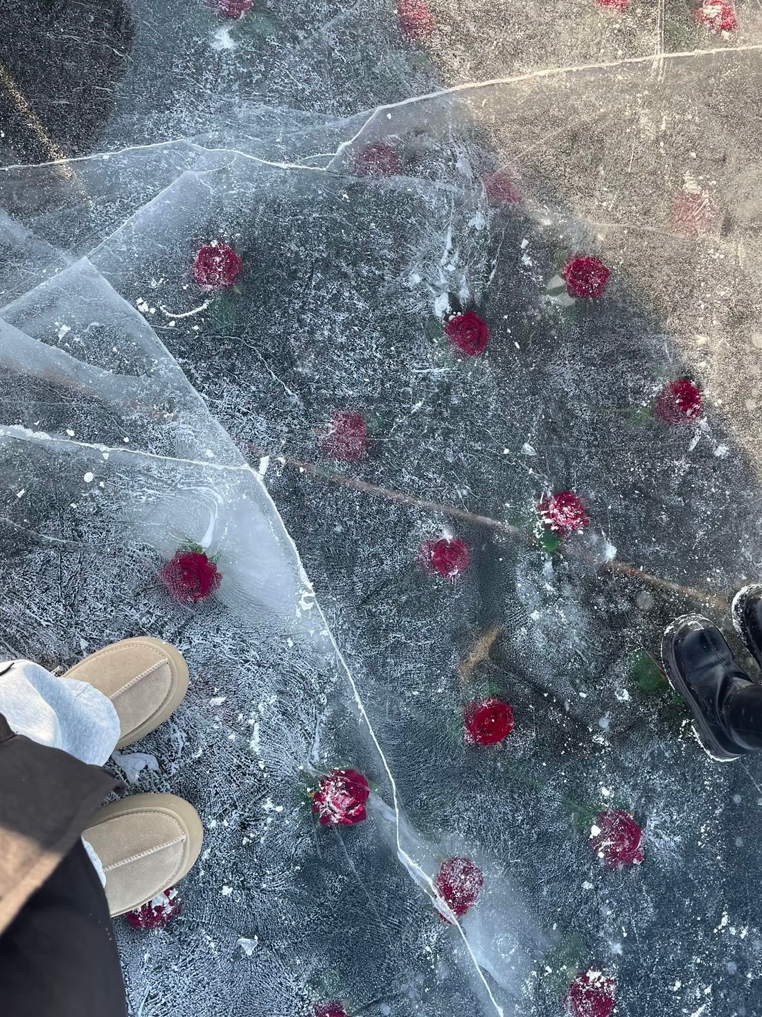 财富是最治愈的力量 有钱能解决80%的烦恼 