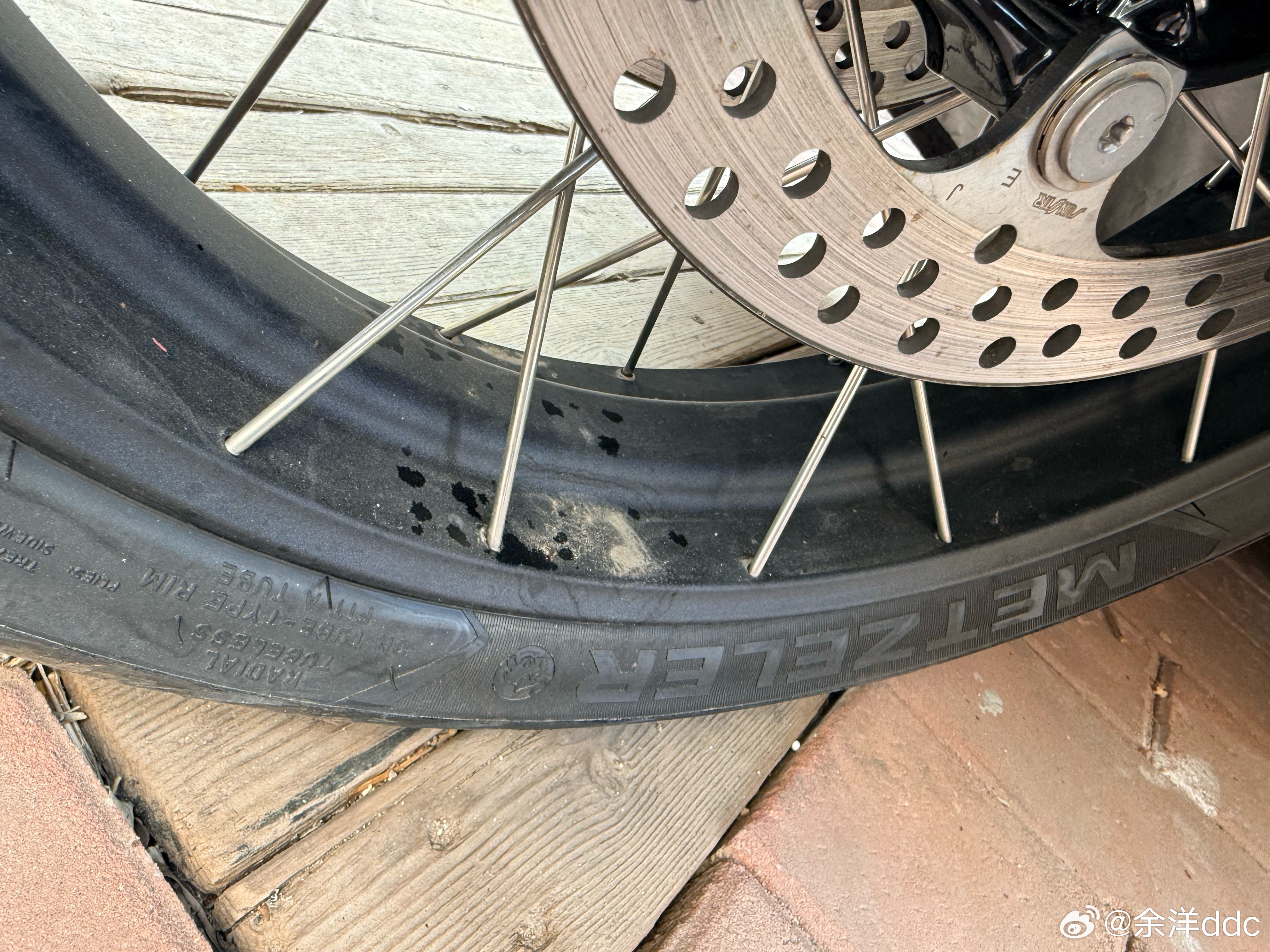 这下猫赃俱获了，给流浪小型猫科动物绝育多少钱？有一堆傻猫天天轮番来标记载具…是不