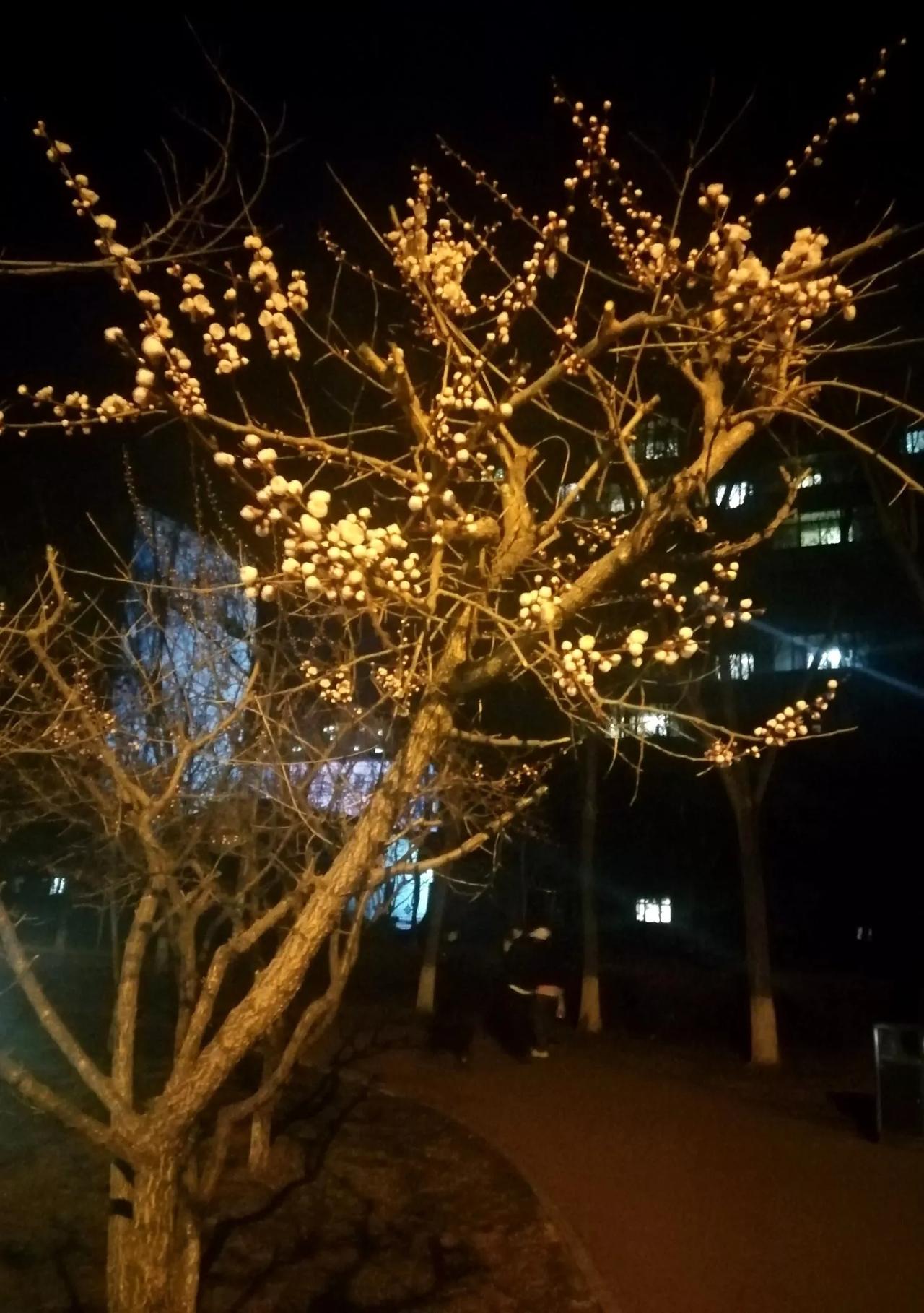 炒股，一买就跌，一买就跌，怎么办这是很正常的事，在股市里买股票其实就是一个试错的