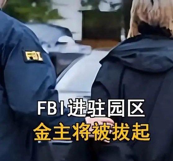 《电诈黄金时代终结，FBI进驻柬埔寨园区，幕后金主将被连根拔起》电诈黄金时代终结