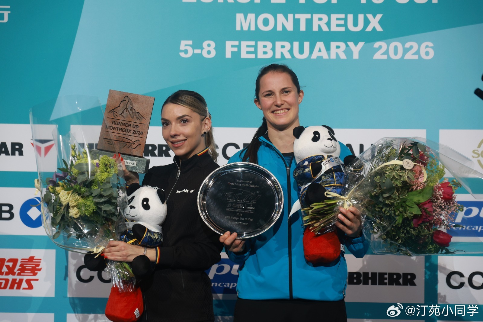 王艺迪2比4温特新科欧洲16强赛冠军温特16进8淘汰了朱雨玲，1/4决赛淘汰了王