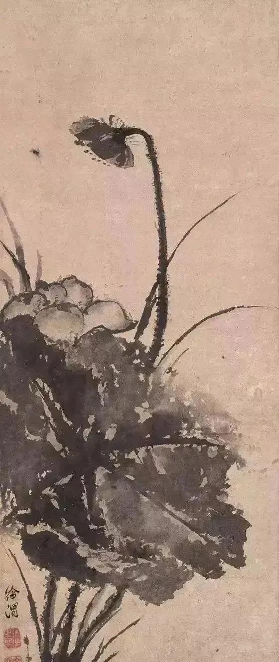 徐渭的水墨荷花，那才叫一个“狂”
 