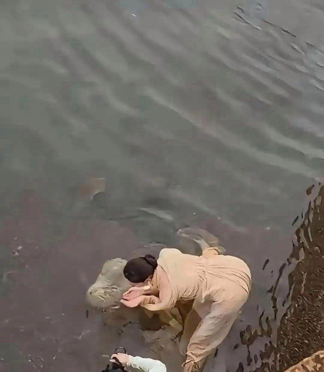 一时不知道是不知者无畏还是蠢 