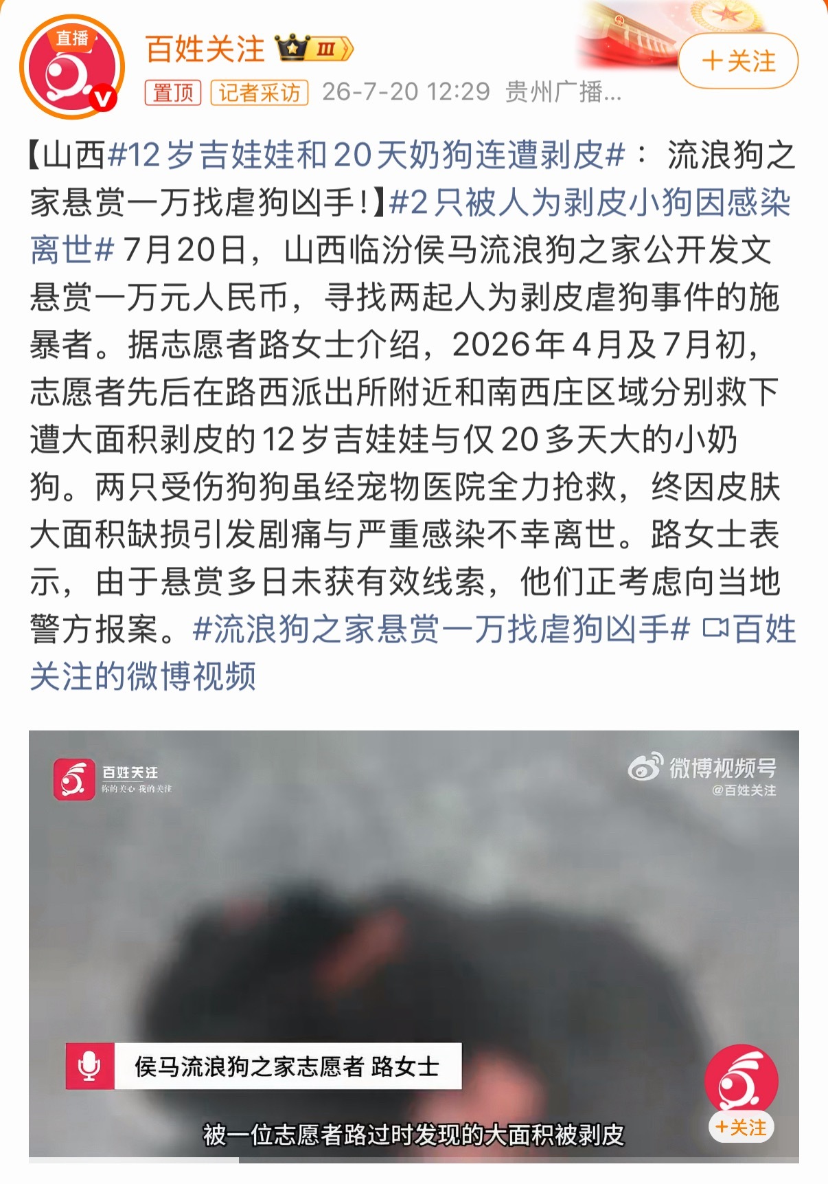 恕我直言，虐待动物到这种程度不抓起来就是在豢养变态🔪人犯！12岁吉娃娃和20天