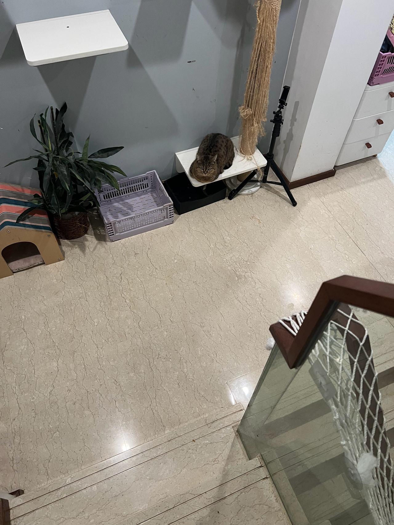 冬天还没到你就踹手手了，到了冬天可怎么办？