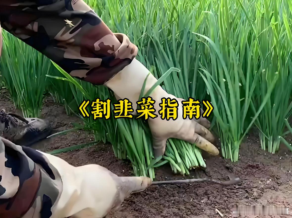 曝小米要募集超380亿 是时候收菜了[666][666] ​​​