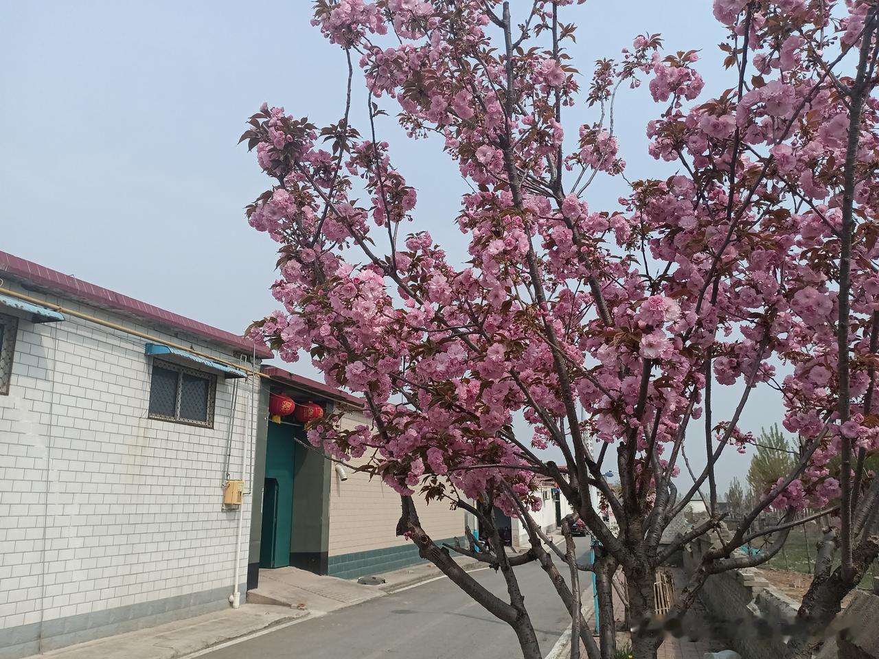 火柴,用土话怎么说? 火柴,用土话怎么说? 火柴这玩意儿，在各地的土话叫法就像天