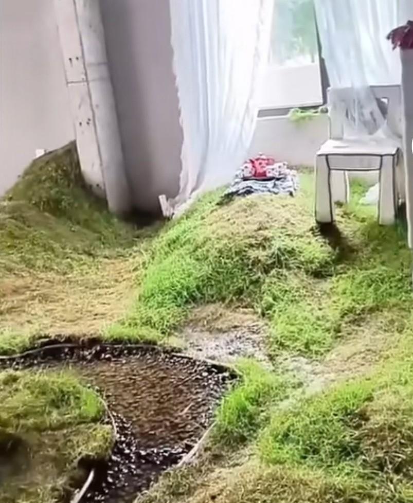 大叔吐槽00后将80万的住房装修成田园风，别人家进屋后要脱鞋，
进他家却要穿靴子