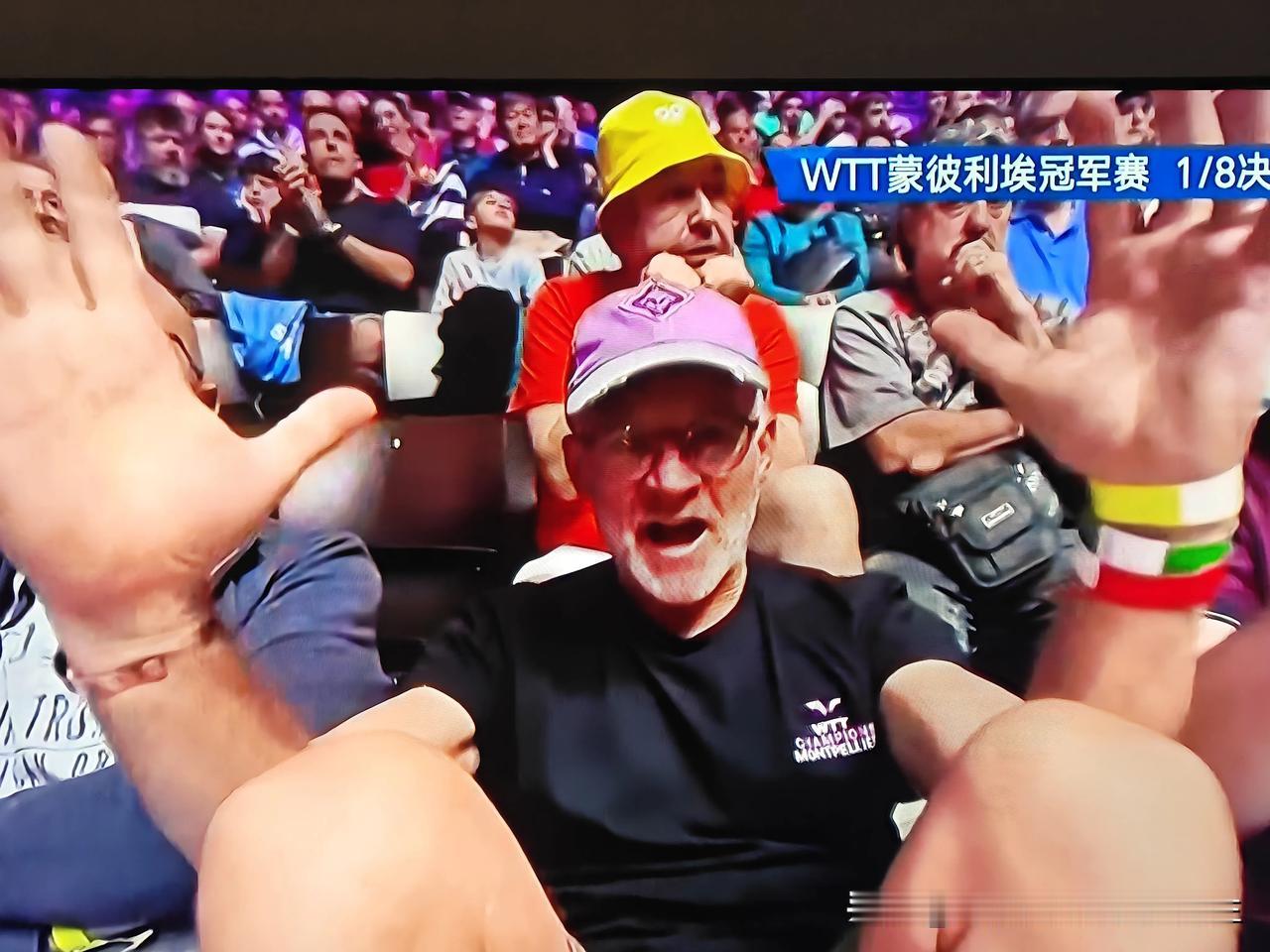 看WTT蒙彼利埃冠军赛现场直播，我发现这些法国球迷有几个特点，一是他们以男性居多