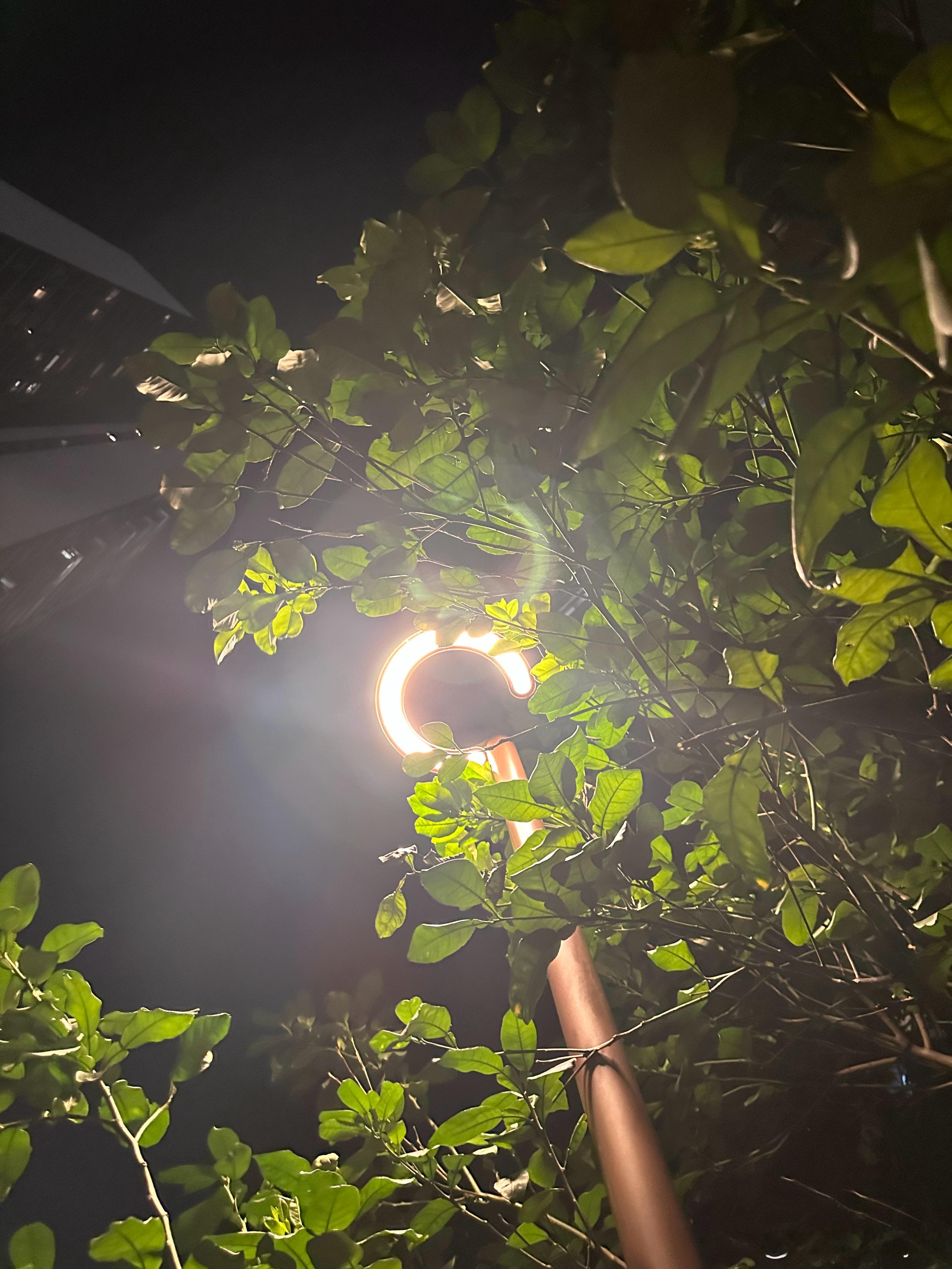 夜深了，月亮也打烊了，晚安，做个好梦！ 