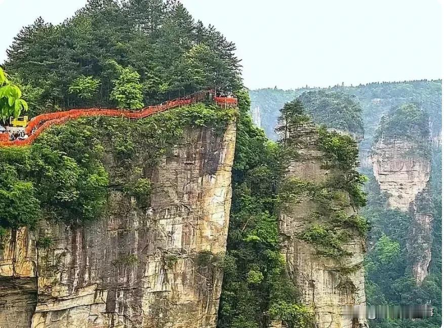 张家界这景点门票还真是贵，所有景点和项目玩下有要花费3000多元。
这种将游客视