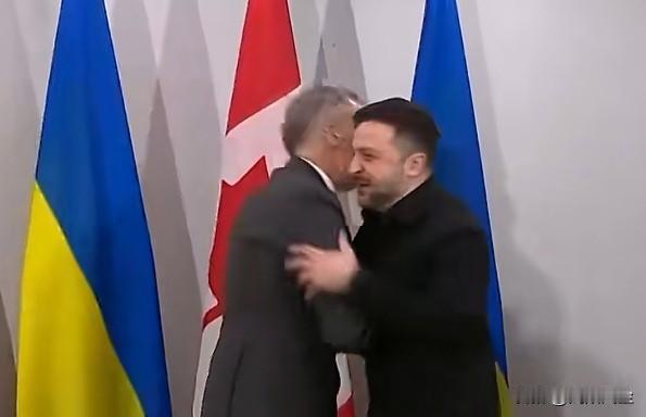 乌克兰总统泽连斯基与特朗普会晤前，先到了加拿大与加拿大总理卡尼会谈，卡尼承诺向乌