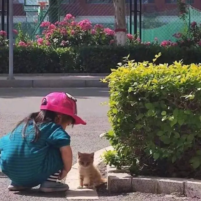 人类幼崽和猫咪之间的深情对视……