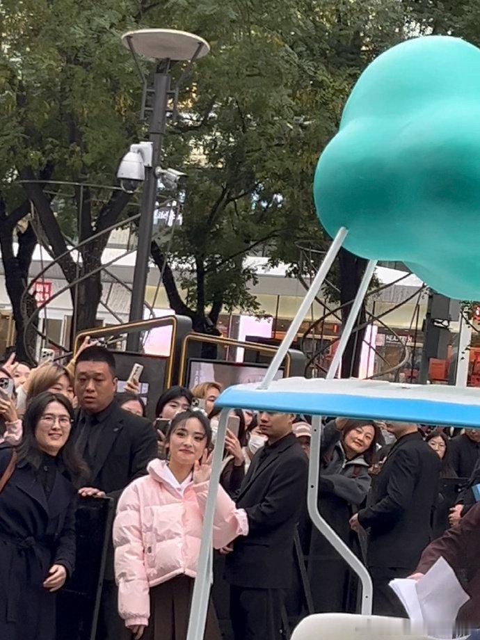 沈月粉色羽绒服沈月秋日里的一抹粉 沈月粉色羽绒服，秋日里的一抹粉色，是谁还没有被