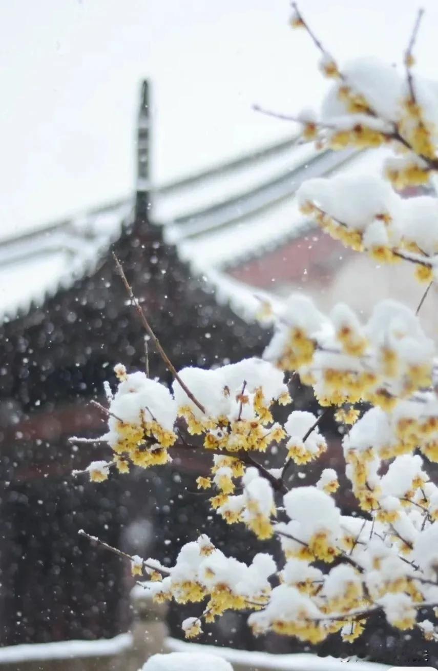 你和一个人聊天觉得特别舒服，那并不意味着，对方是你的知己。很有可能，他只是在向下