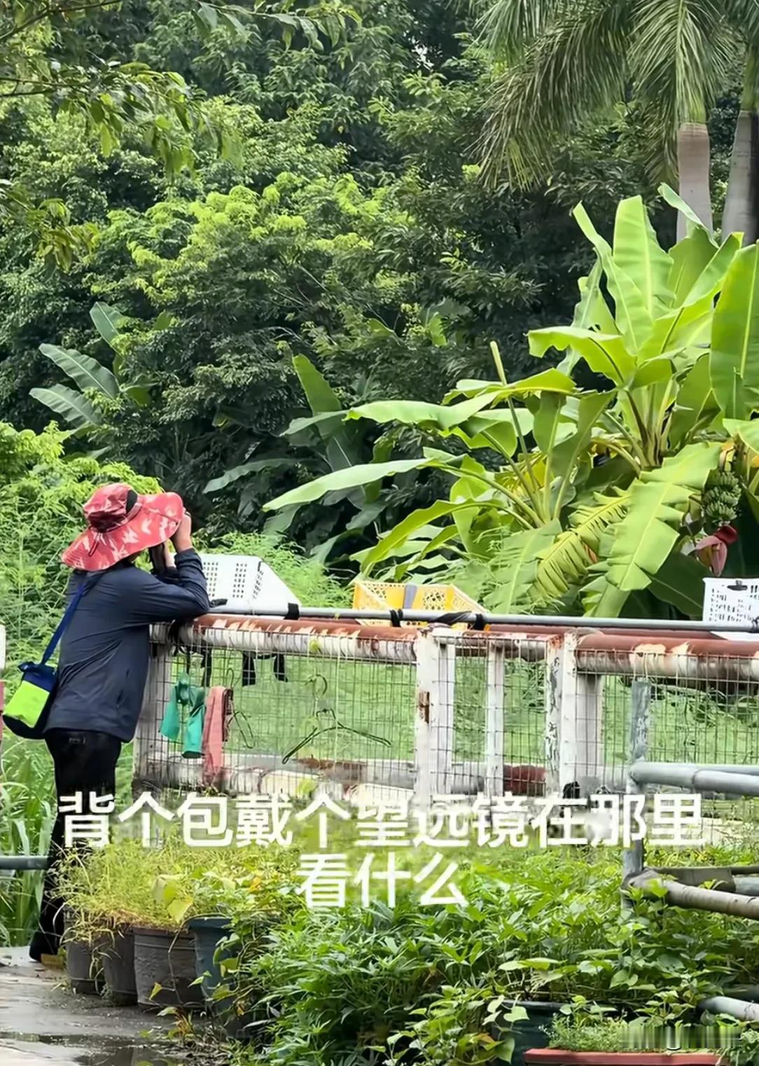 请注意你身边行走的50万。以后但凡看到这种藏头露尾鬼鬼祟祟的，大家一定要留个心眼