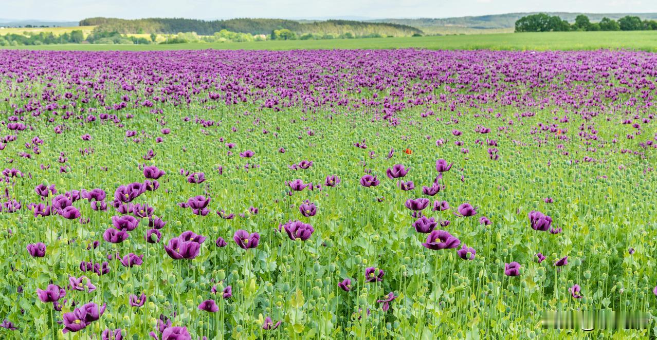 减重1斤抵30元物业费！这个小区的操作太励志了

见过用积分换礼物的，你见过用减