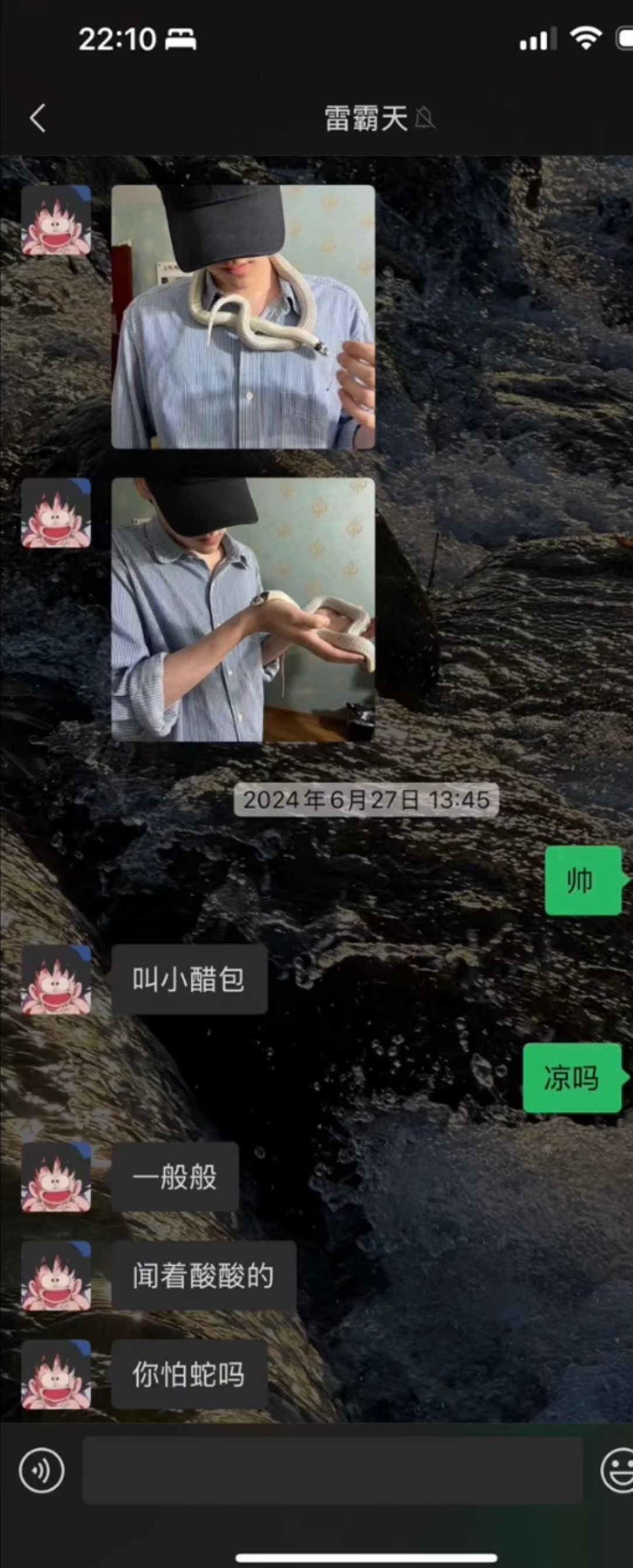 小醋包把小醋包当涛使呢是吗？ ​​​