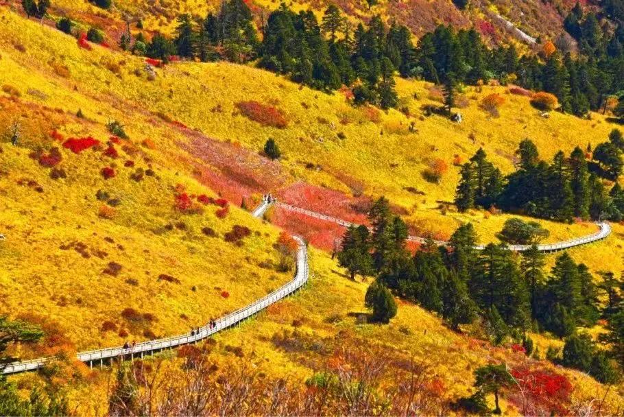 秋天风景更好
这是秋天和冬天的雷古山和官鹅沟