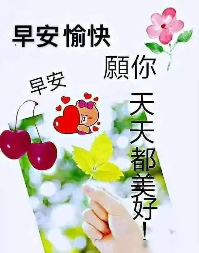 同样练太极，为什么有人越练越松，有人越练越紧？

老师说你“胳膊太僵”，你心里一
