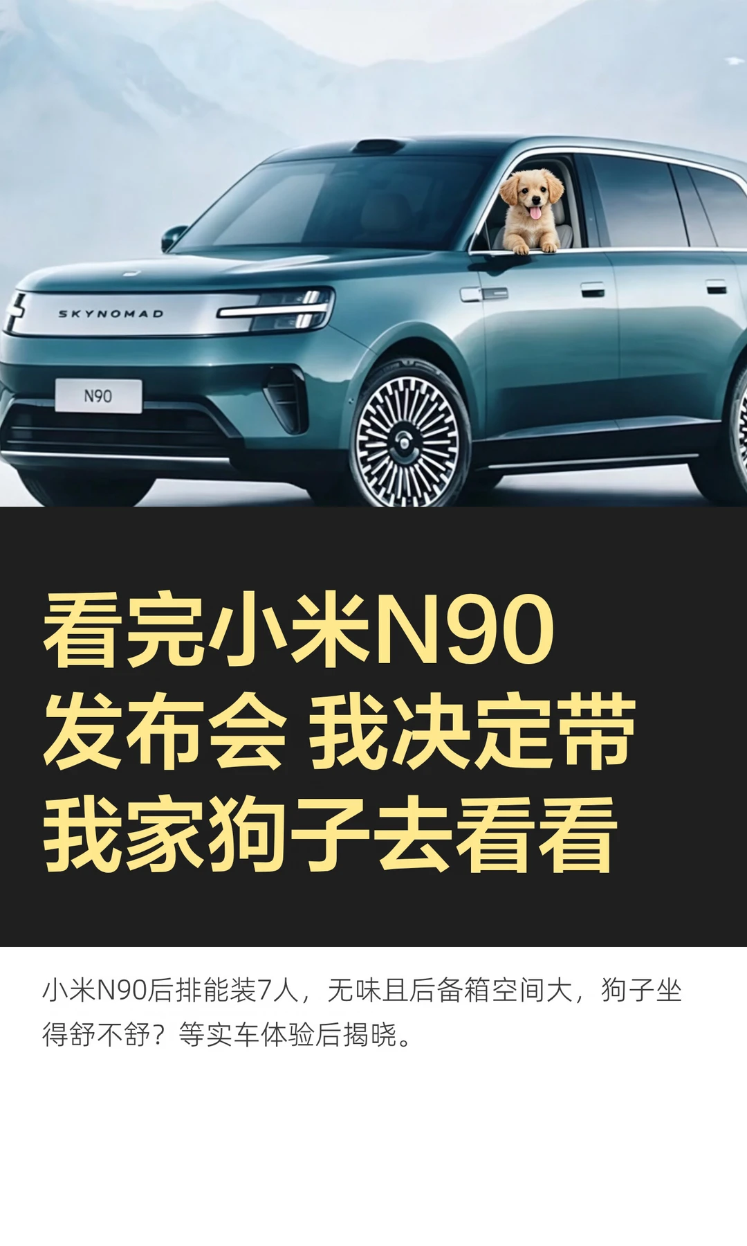 看完小米N90发布会 我决定带我家狗子看看