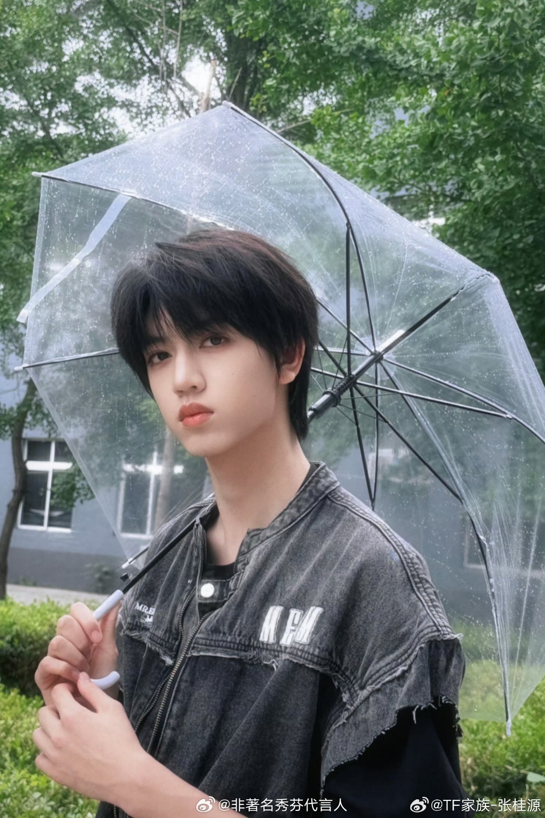 张桂源 只是一场小雨淅沥沥 美好如约而至 