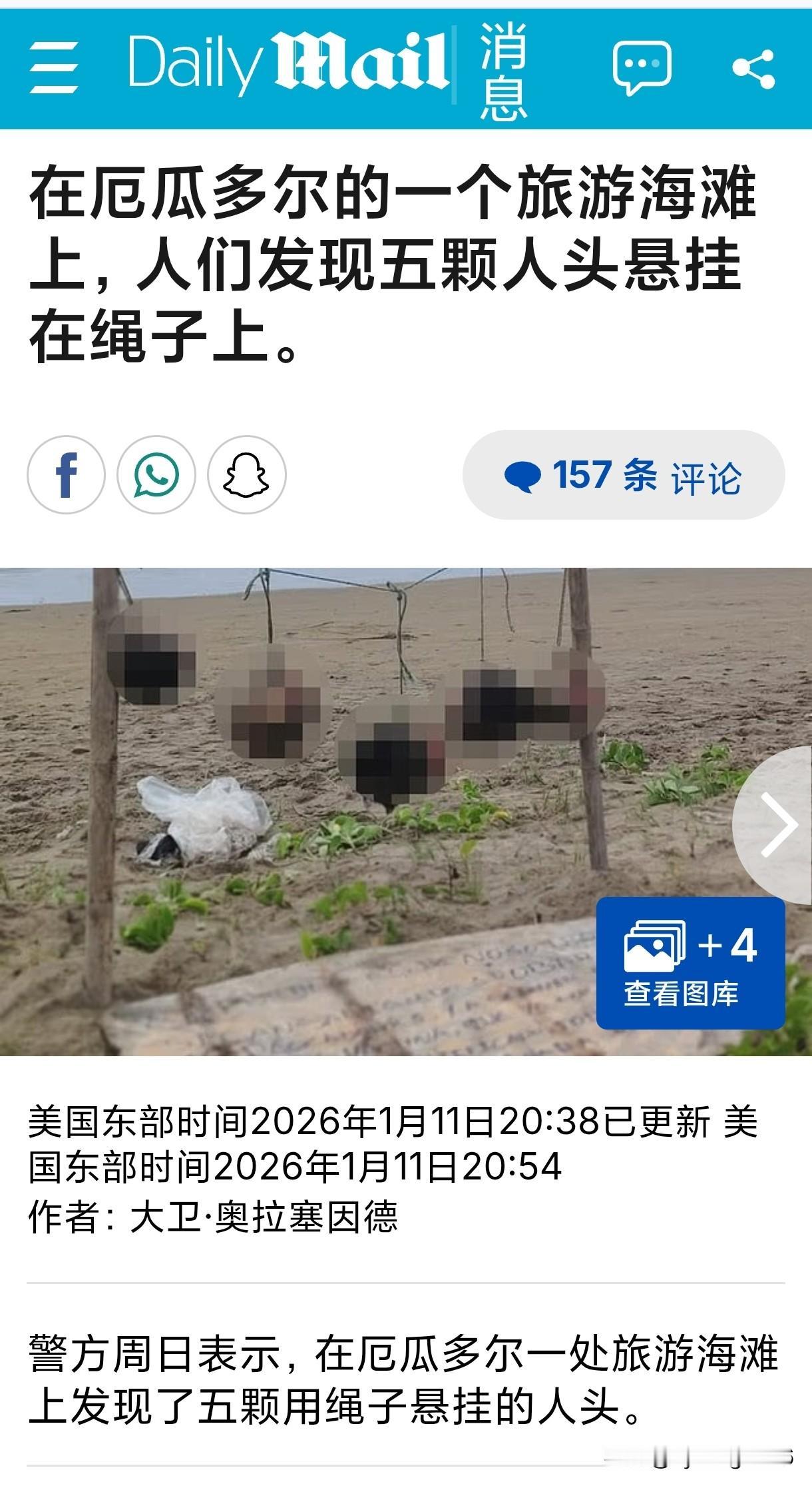 糖霜苹果[不看]