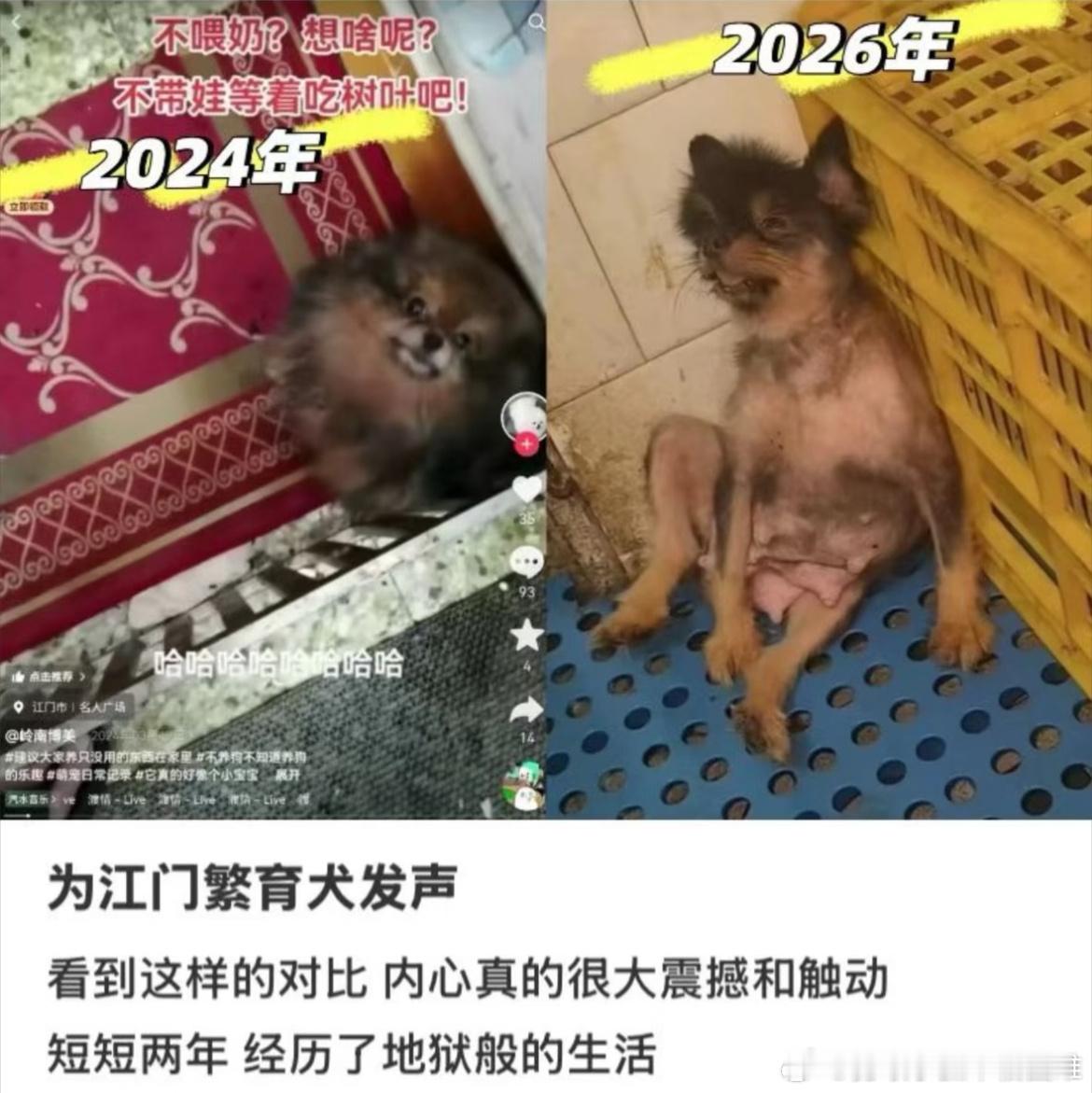 月经弄脏火车卧铺女子发声 “动物求你，如同你求苍天” 