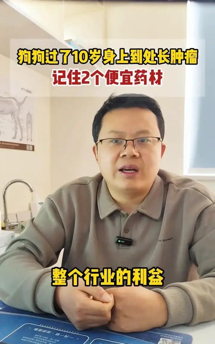 付运星在视频里教人用三味便宜草药给老狗消瘤，三个月就能缩小，药费一个月不到一百块