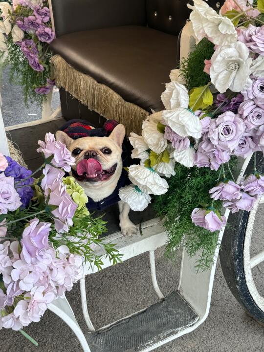 🌸☕️ 今天来品品咖啡～