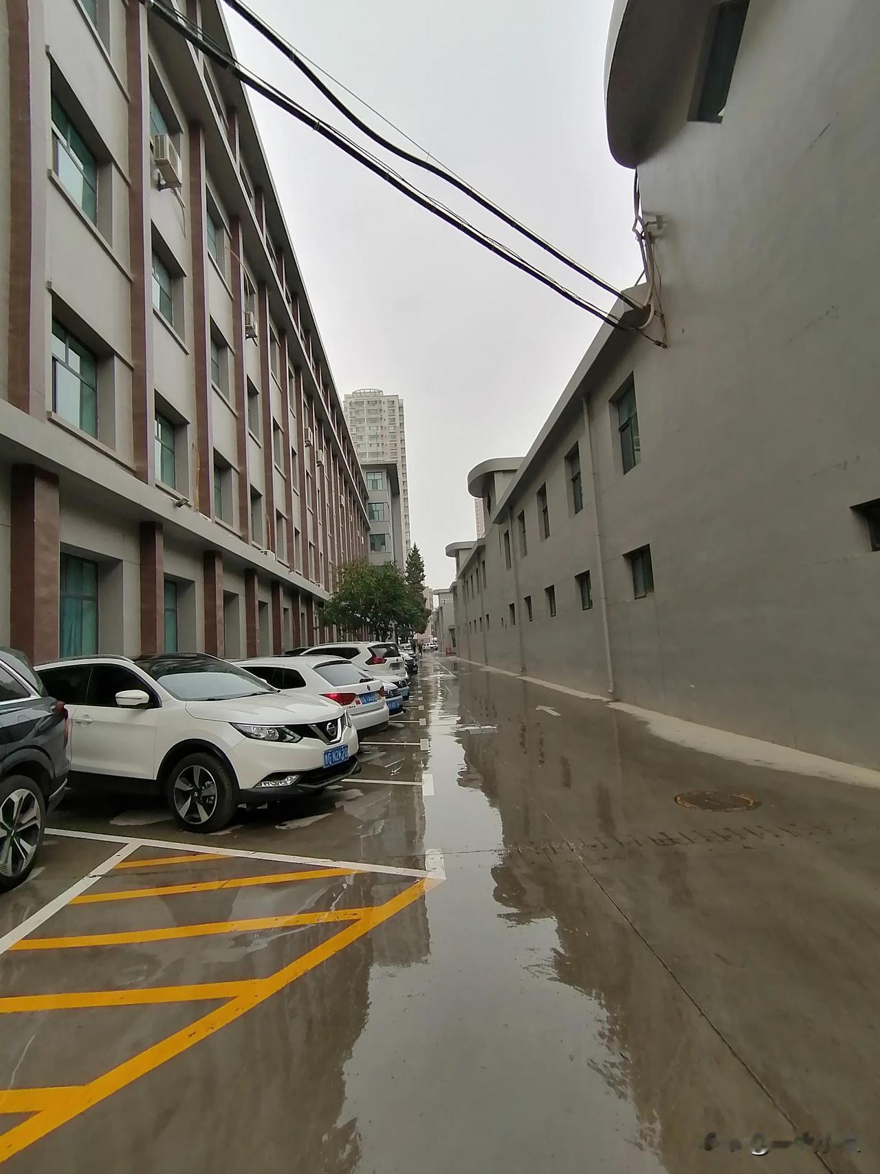 节后第一天上班，
细雨绵绵，
不是秋高气爽，
扑面而来是一种春天的气息。
珍惜当