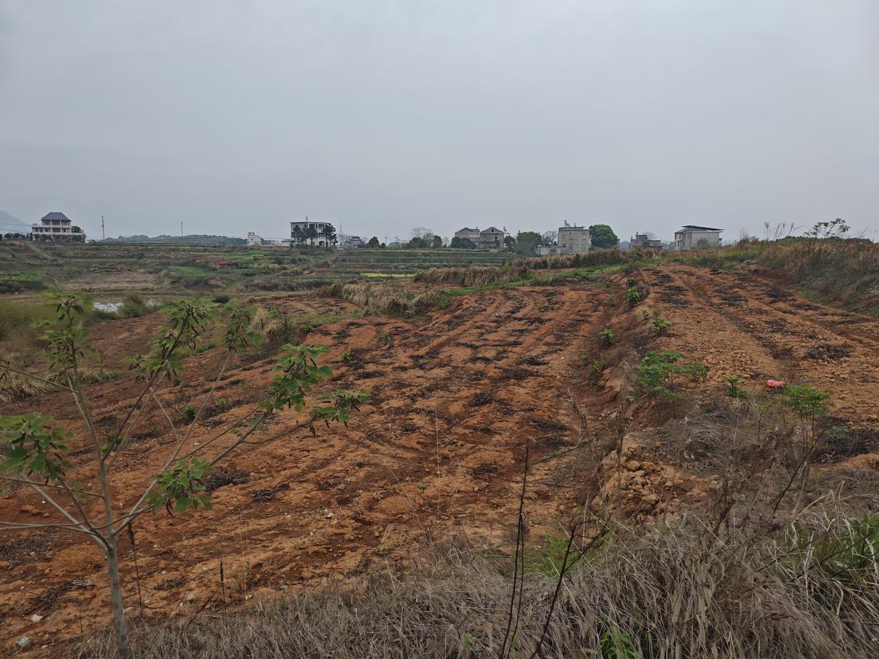 跟外省的很多人说我们江西的土是红的，他们不相信，现在给你们看看，我没骗人吧。