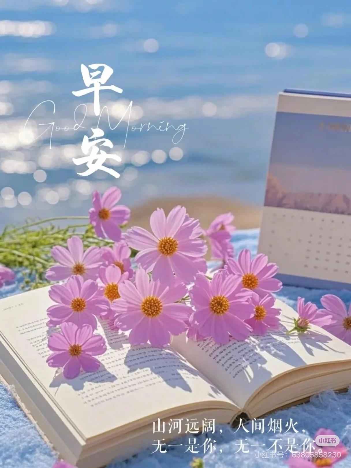 ²º²⁶/₀₆.₁₈🔆| ᴍᴏʀɴɪɴɢ〰🍃生活可爱，日子欢喜，心怀希望，万