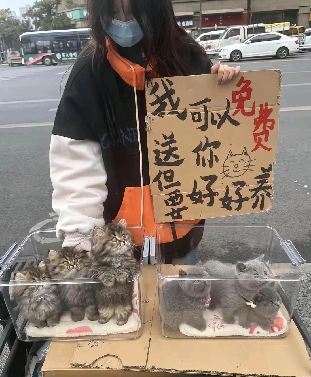 无偿的东西都是最贵的，
真的是吗？
你养过吗？

别再贪小便宜了！真心劝你：免费