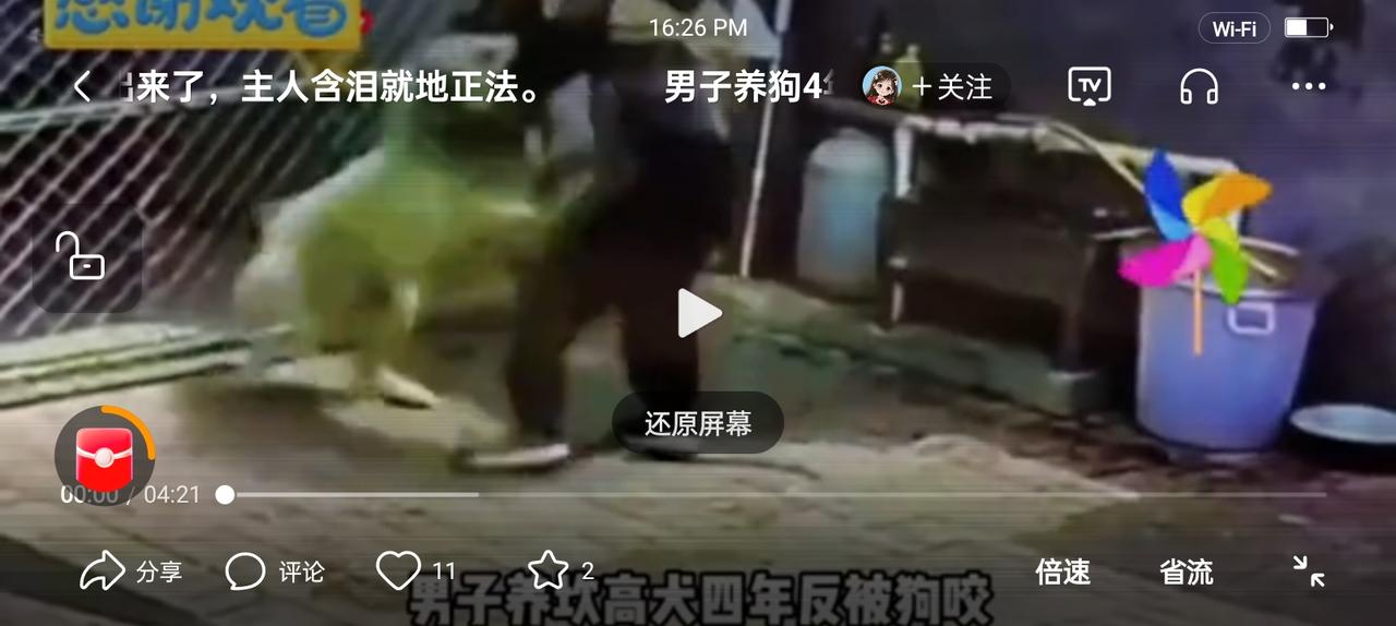 爱狗人士不宜围观，他们都是把狗当儿子养的，谁说狗狗咬人，他们会骂你或咬你的！