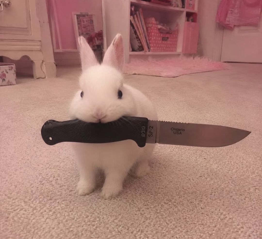 雪纺泥耍狠blackpink： 