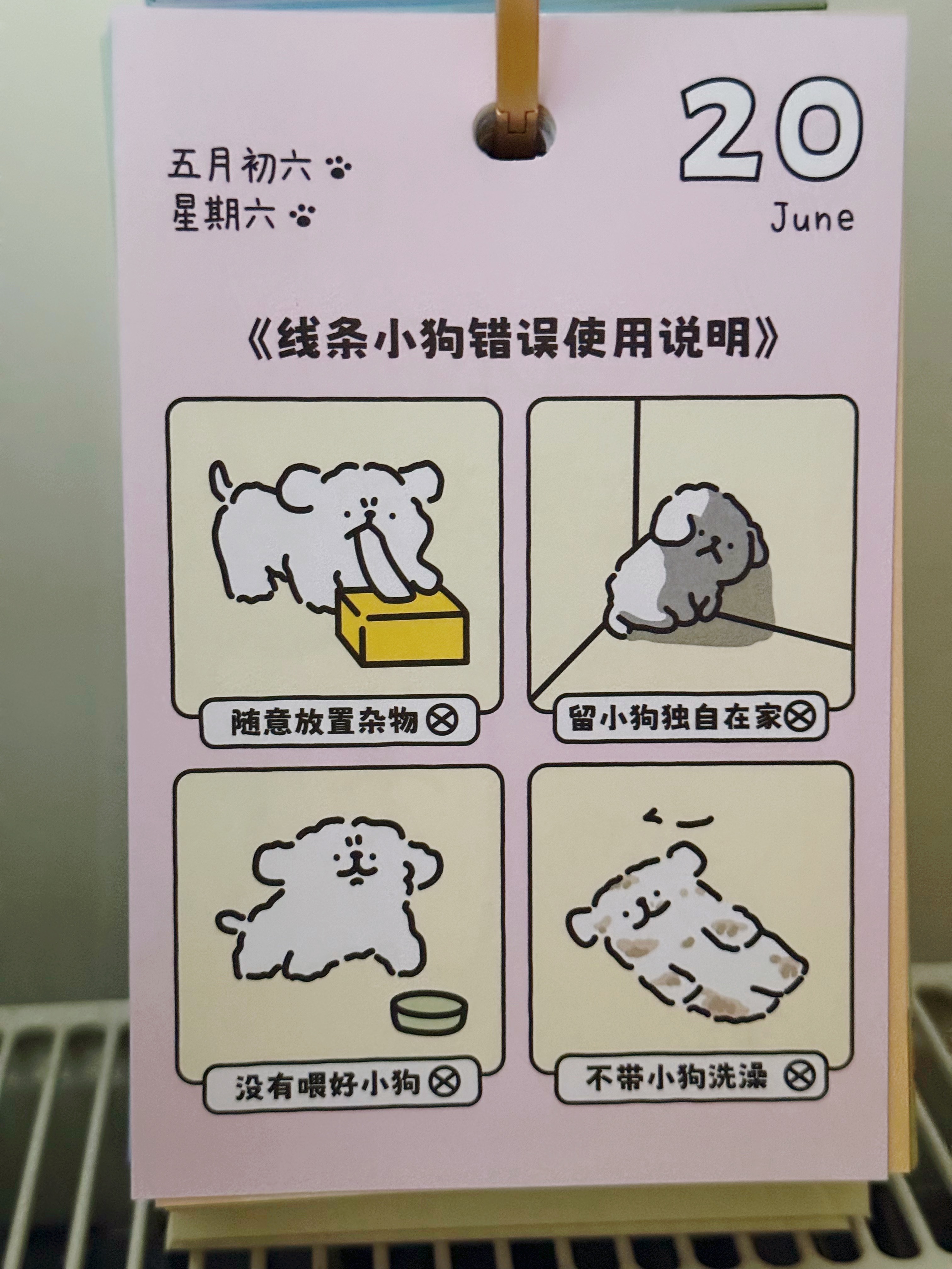 中午好 