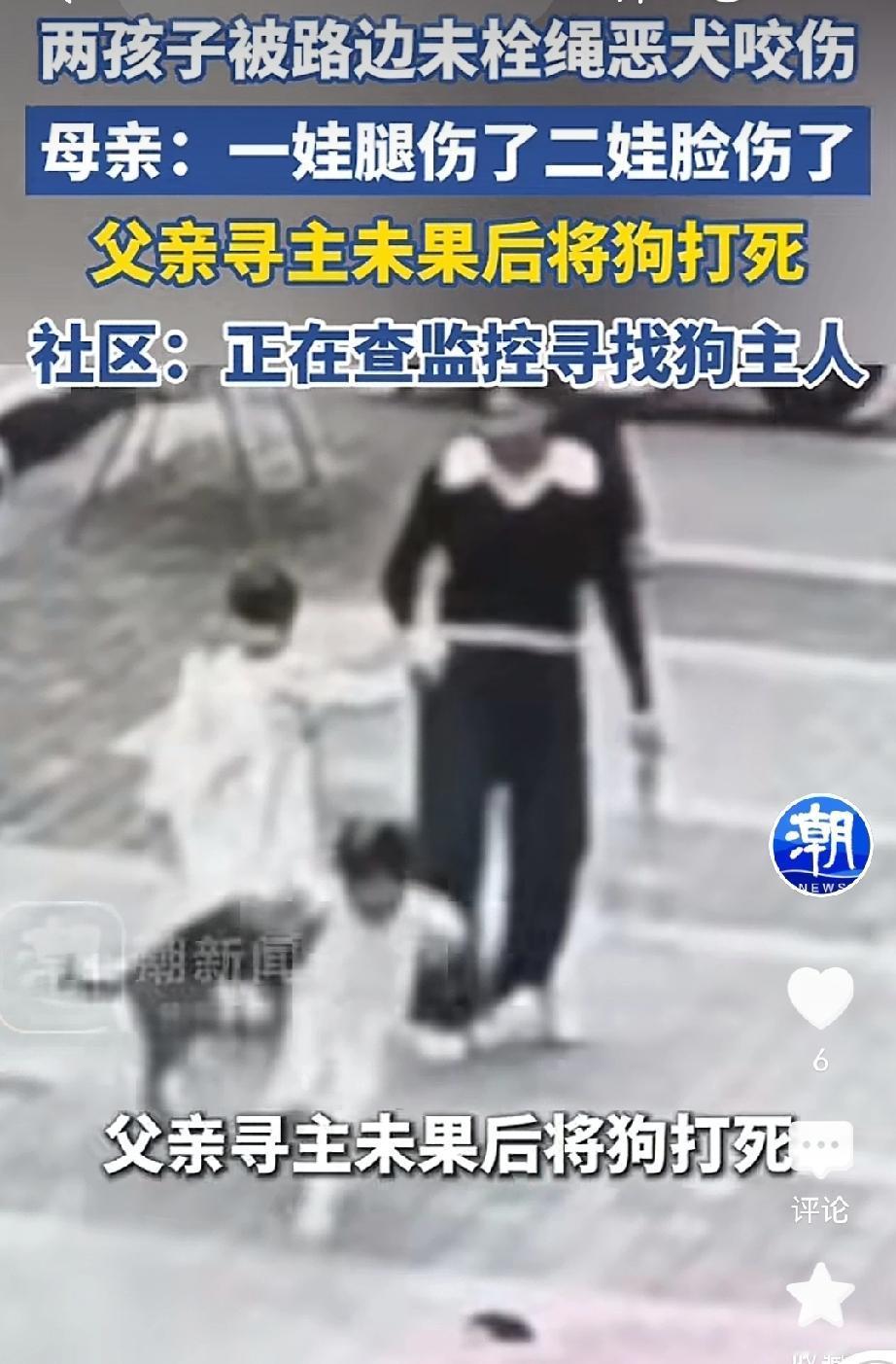 湖南娄底！两个孩子被路边未拴绳的恶狗咬伤，大的腿被咬伤了，小的被咬伤了脸。
当时