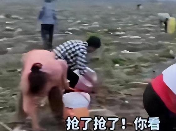 0元购？徐州5万斤桃子遭村民疯抢！
徐州桃农五万斤桃被抢光，安徽土豆地遭百人哄抢