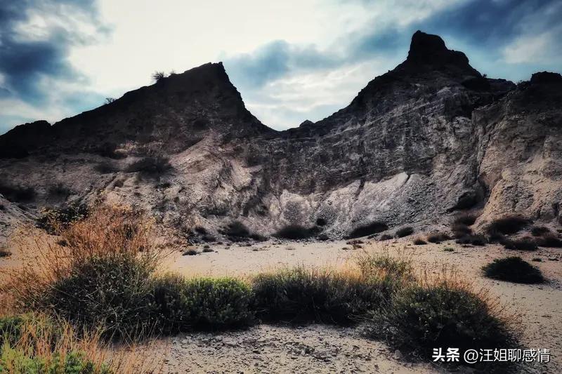 村民开垦了荒地，所有权归谁？

村东头的王叔，闲不住，把村后那片乱石坡拾掇出来，