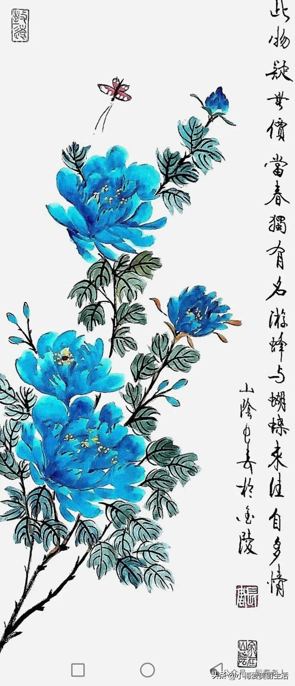 春花烂漫，蜂蝶相随。