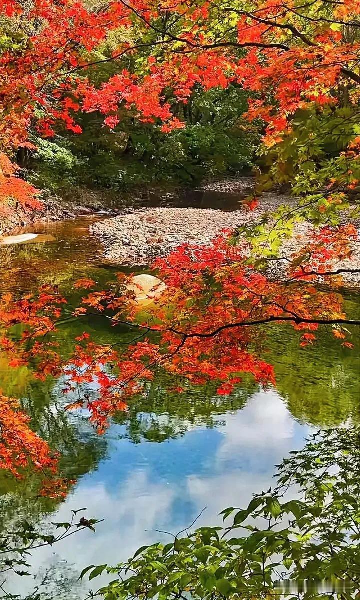 多彩的秋天#一张图分享秋日风光##分享秋季美景# #秋景美！#