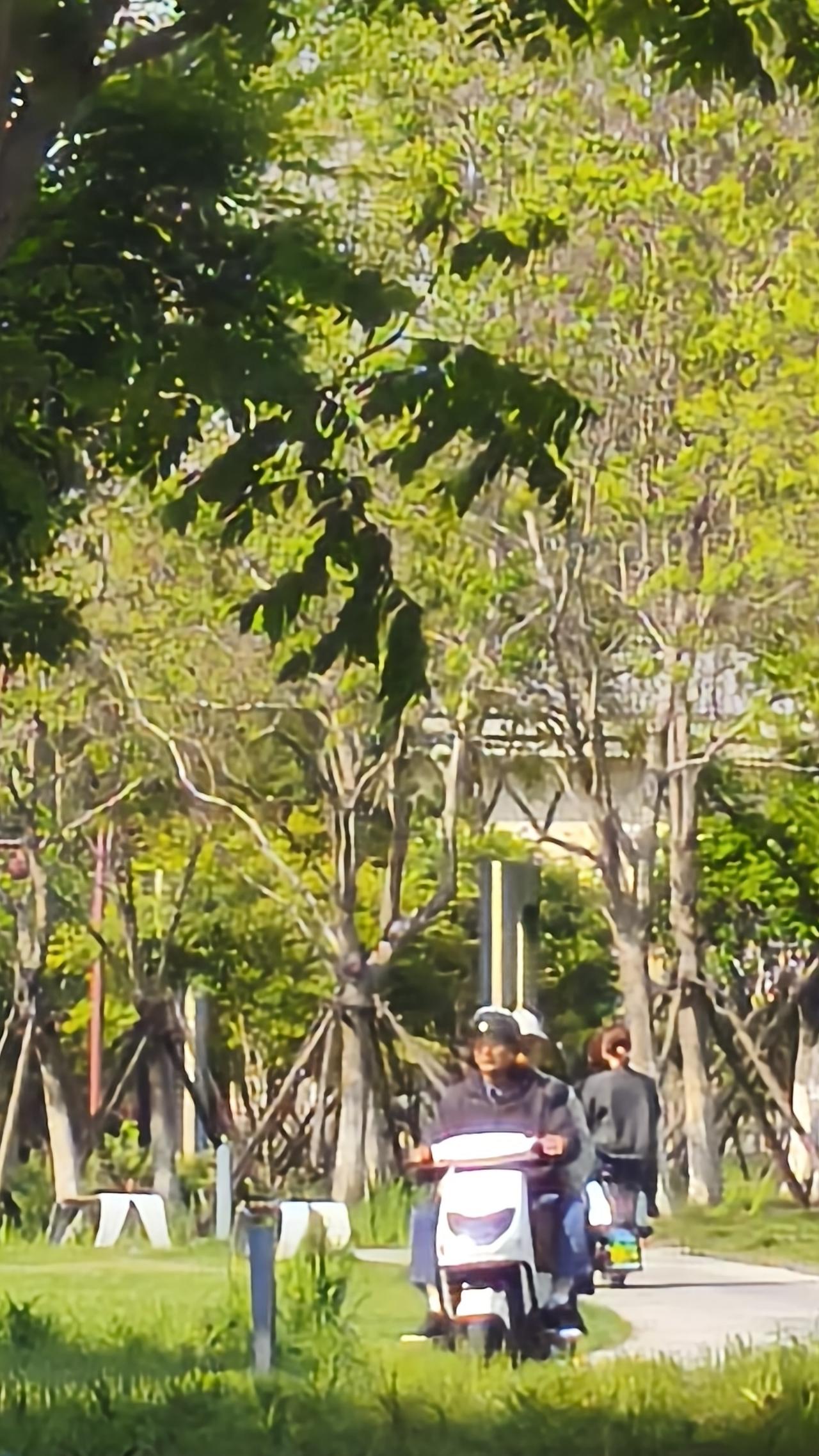 和九十多岁的老人谈养生，你不觉得可笑吗？和九十多岁的老人谈养生，确实有点可笑。九