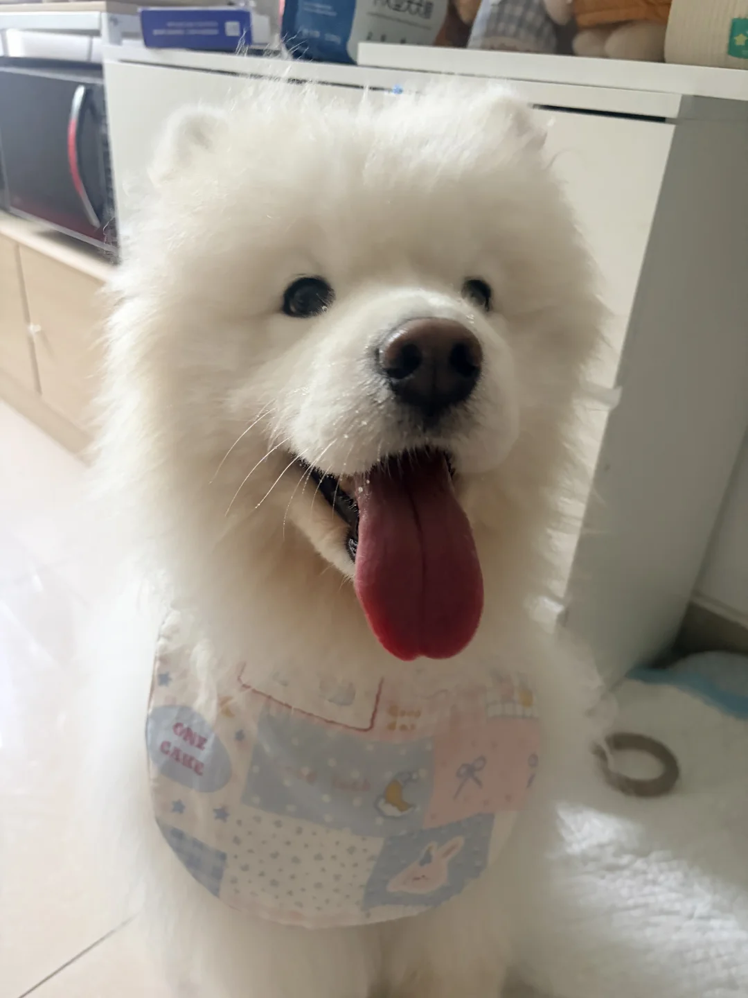 ee自制版口水兜