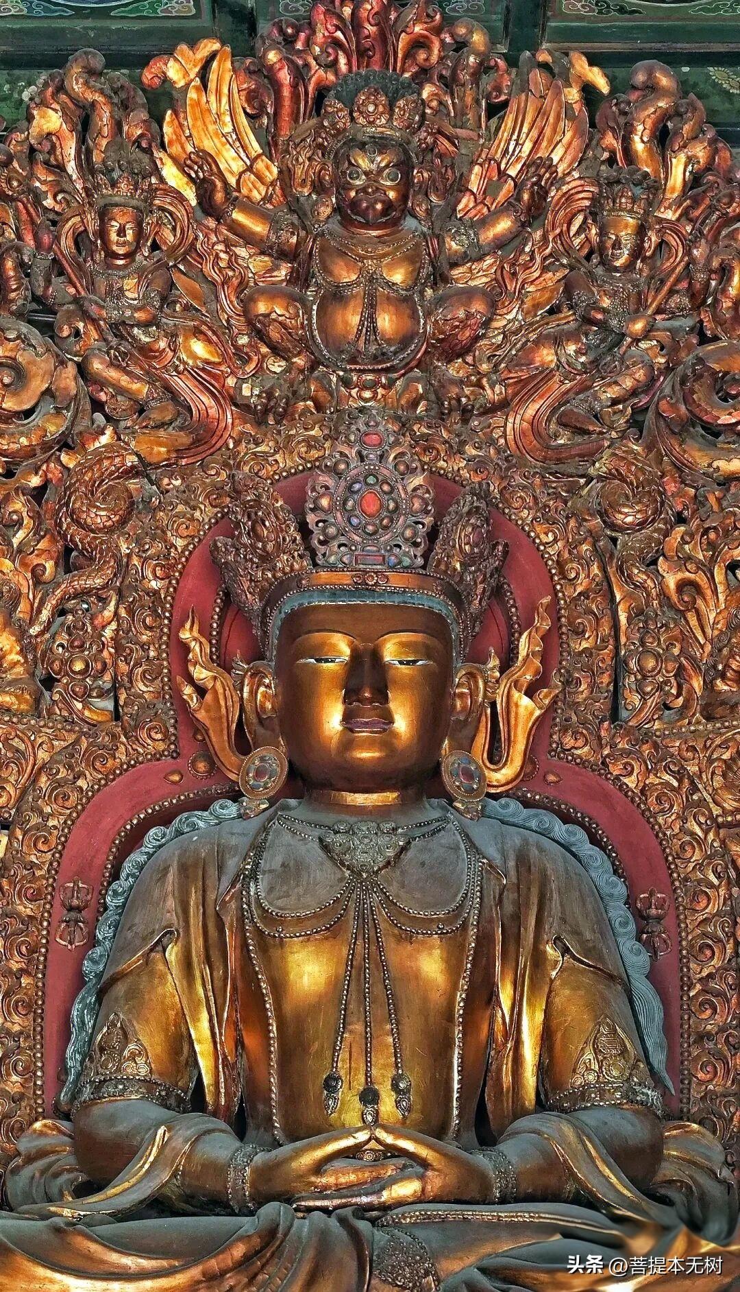 北京大觉寺明代木雕漆金无量寿佛

这尊主佛双手结禅定印，为无量寿佛，也就是阿弥陀