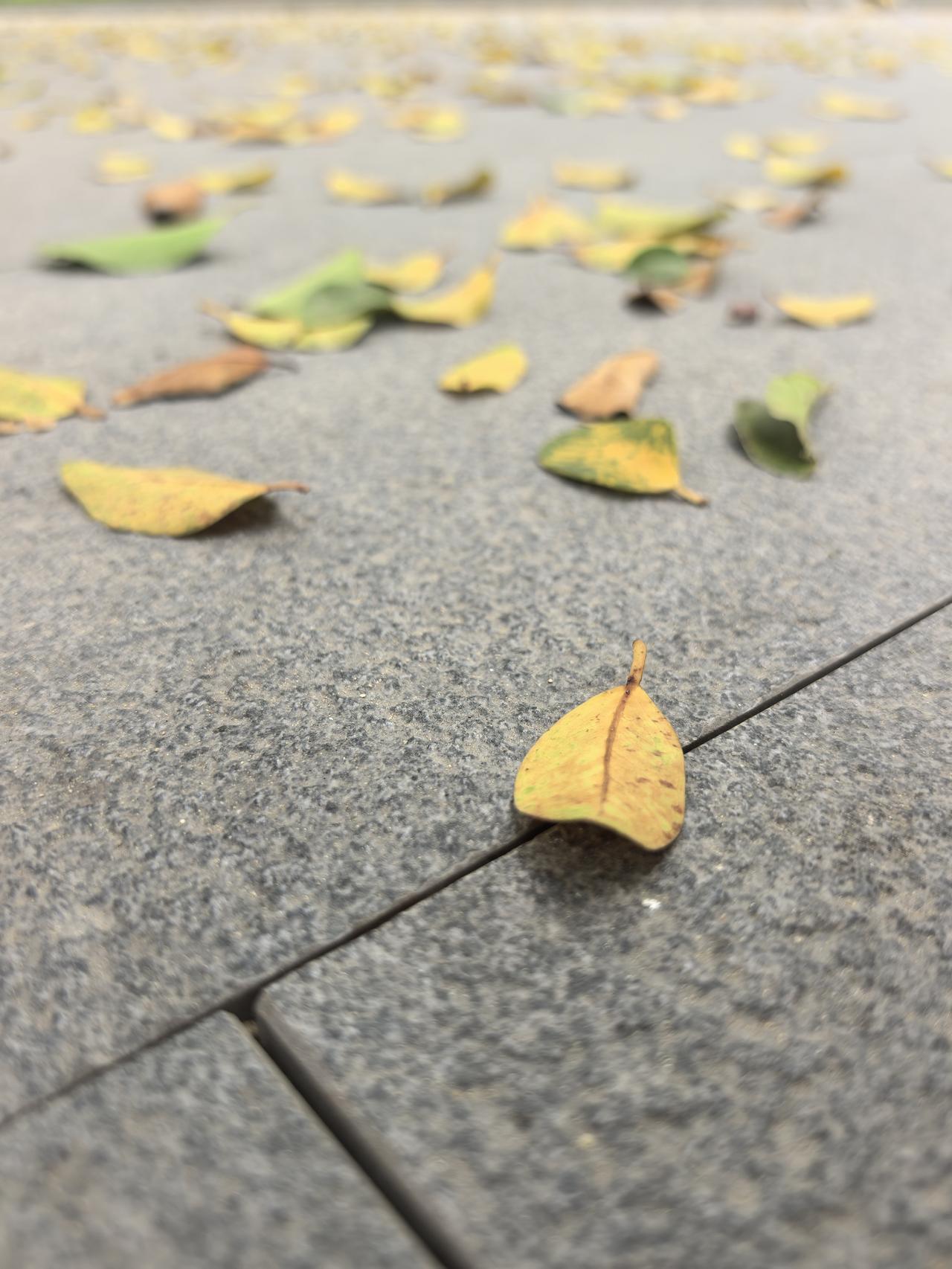 每天努力挣钱,为了什么?